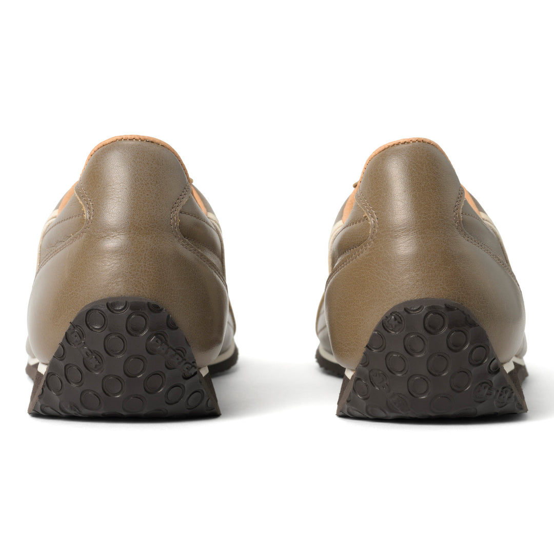 パミールプラス｜PAMIR+（CHO）