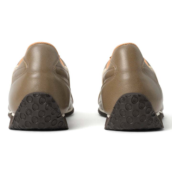 パミールプラス｜PAMIR+（CHO）