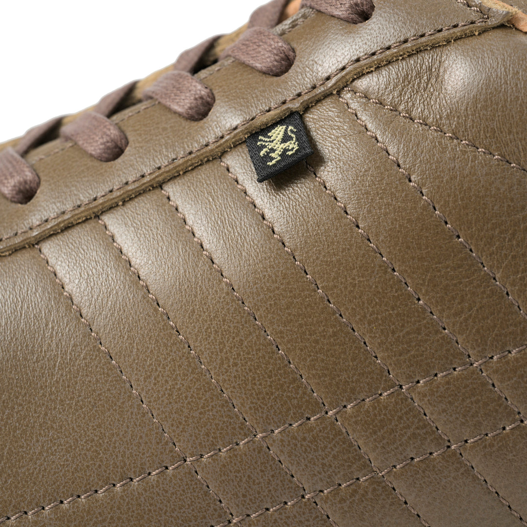 パミールプラス｜PAMIR+（CHO）