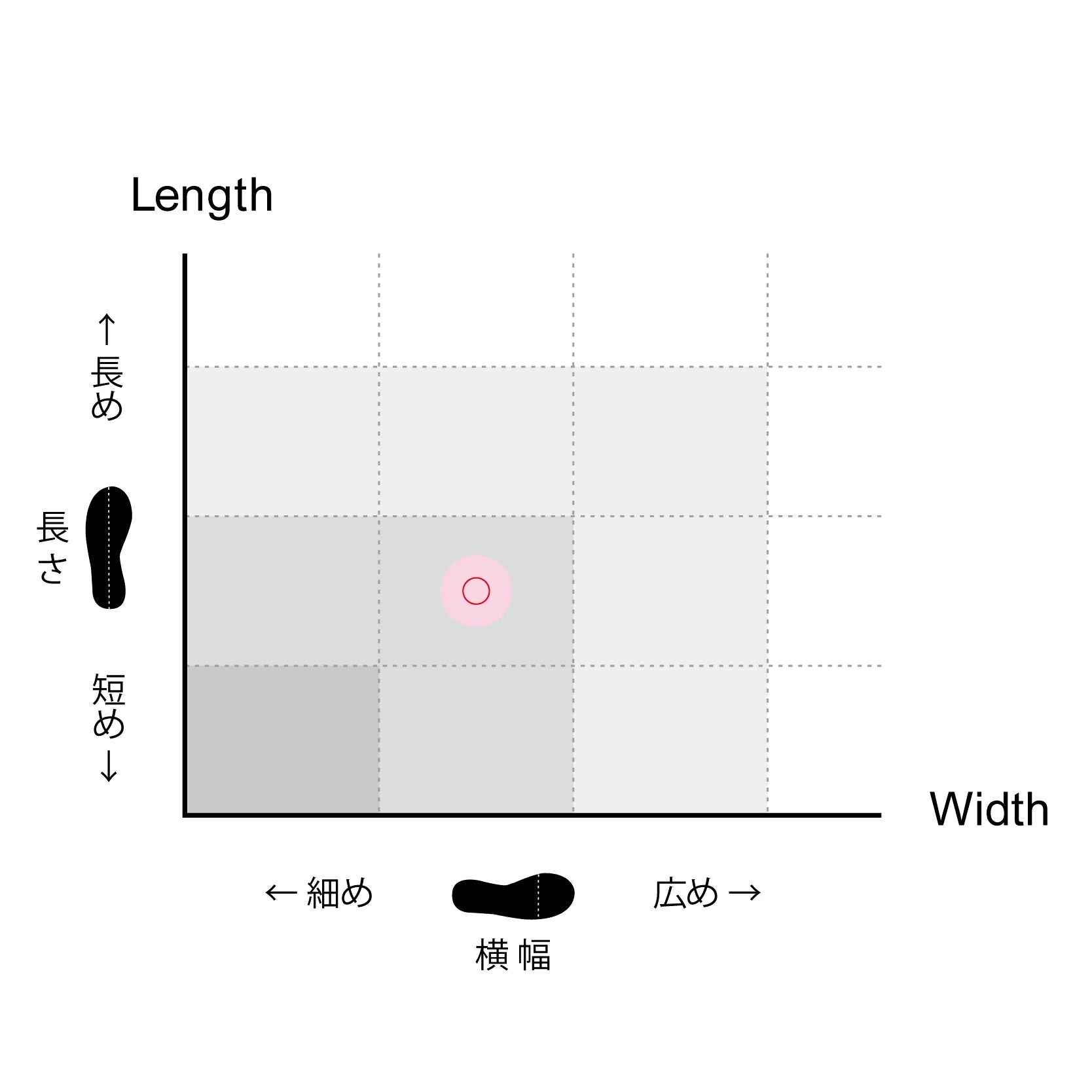 サイズチャート